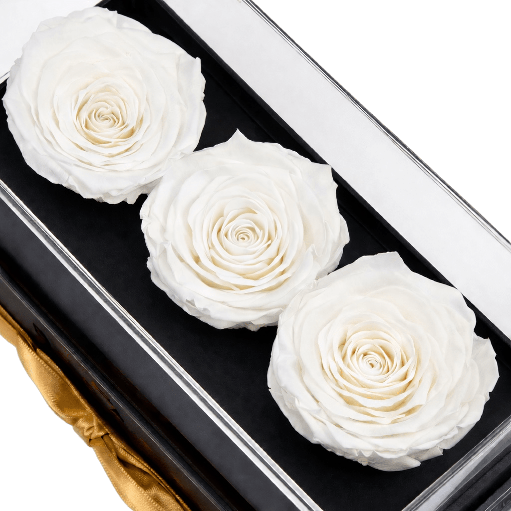 Harmonia 3 - Blancas - arreglo de rosas - Rosata Floral