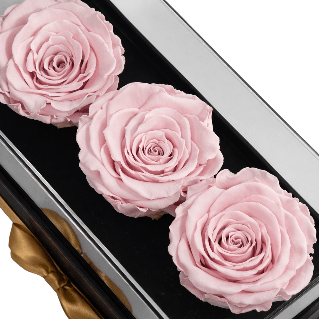 Harmonia 3 - Rosas - arreglo de rosas - Rosata Floral