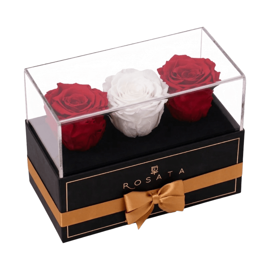 Harmonia 3 - Rojas y blancas - arreglo de rosas - Rosata Floral