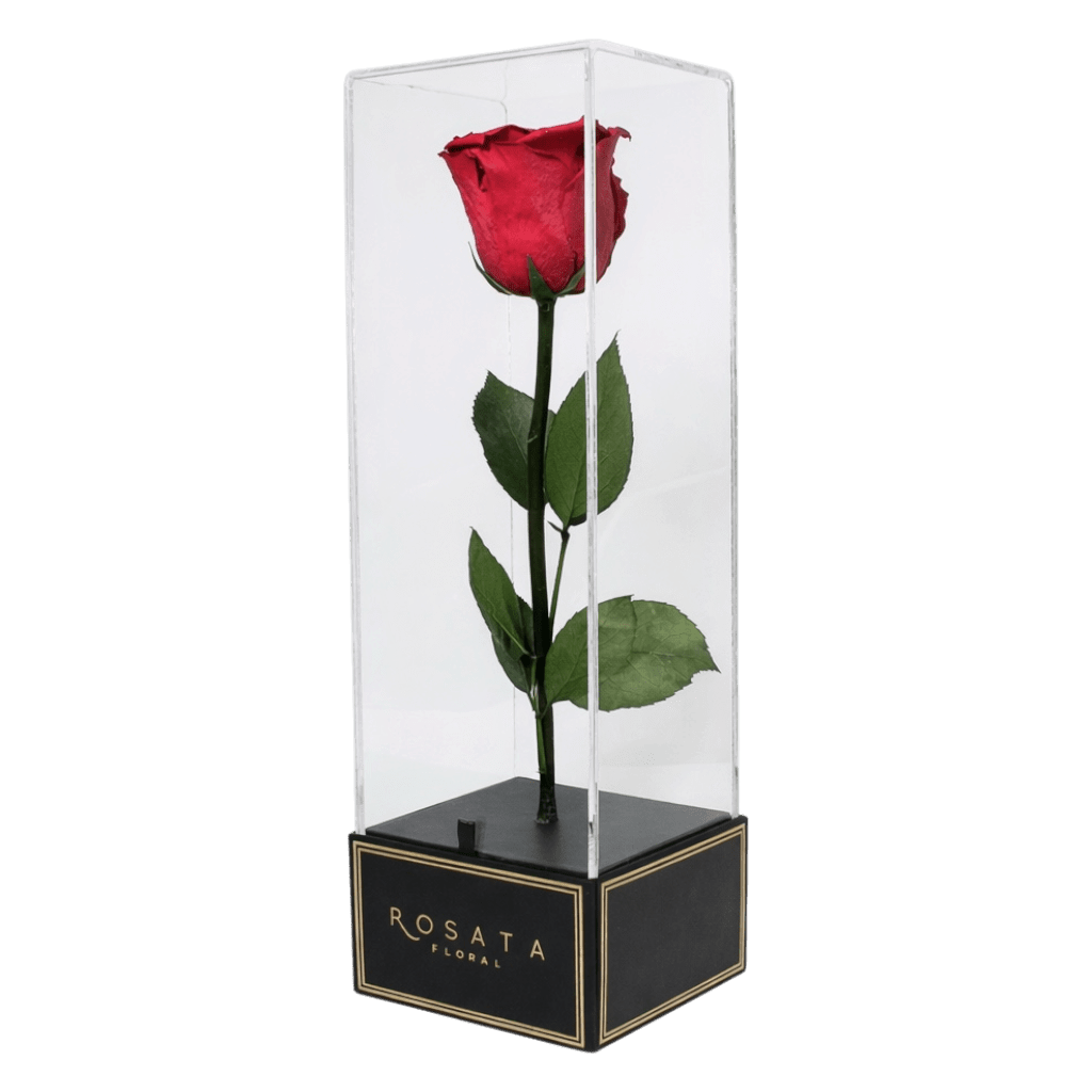 Imperiora - arreglo de rosas - Rosata Floral