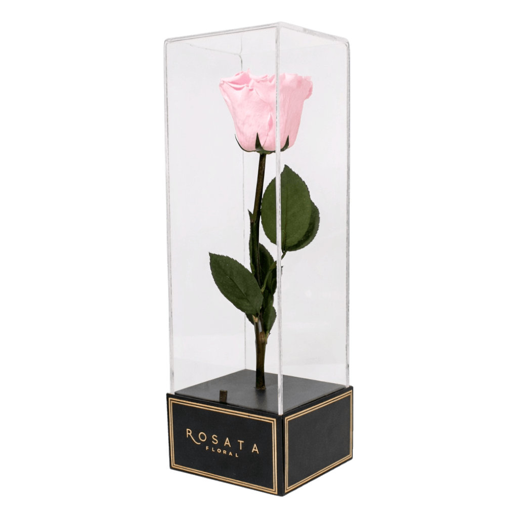 Imperiora Rosa - arreglo de rosas - Rosata Floral