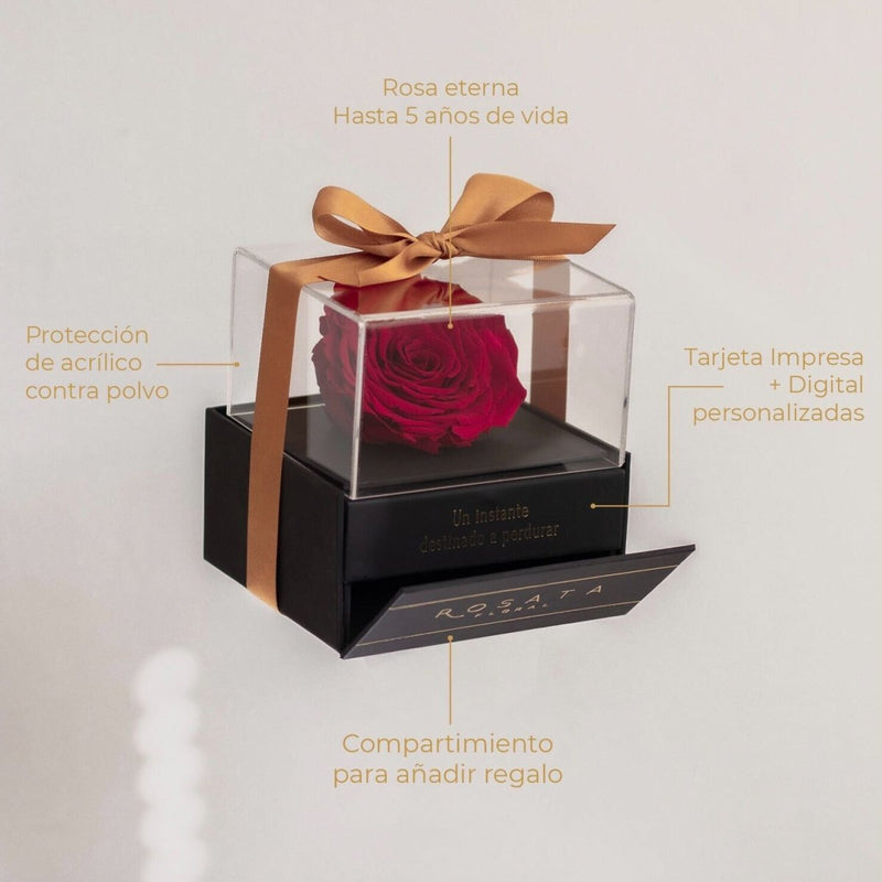 Elegance - Fucsia - arreglo de rosas - Rosata Floral