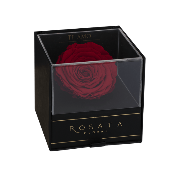 Everty Te amo - arreglo de rosas - Rosata Floral