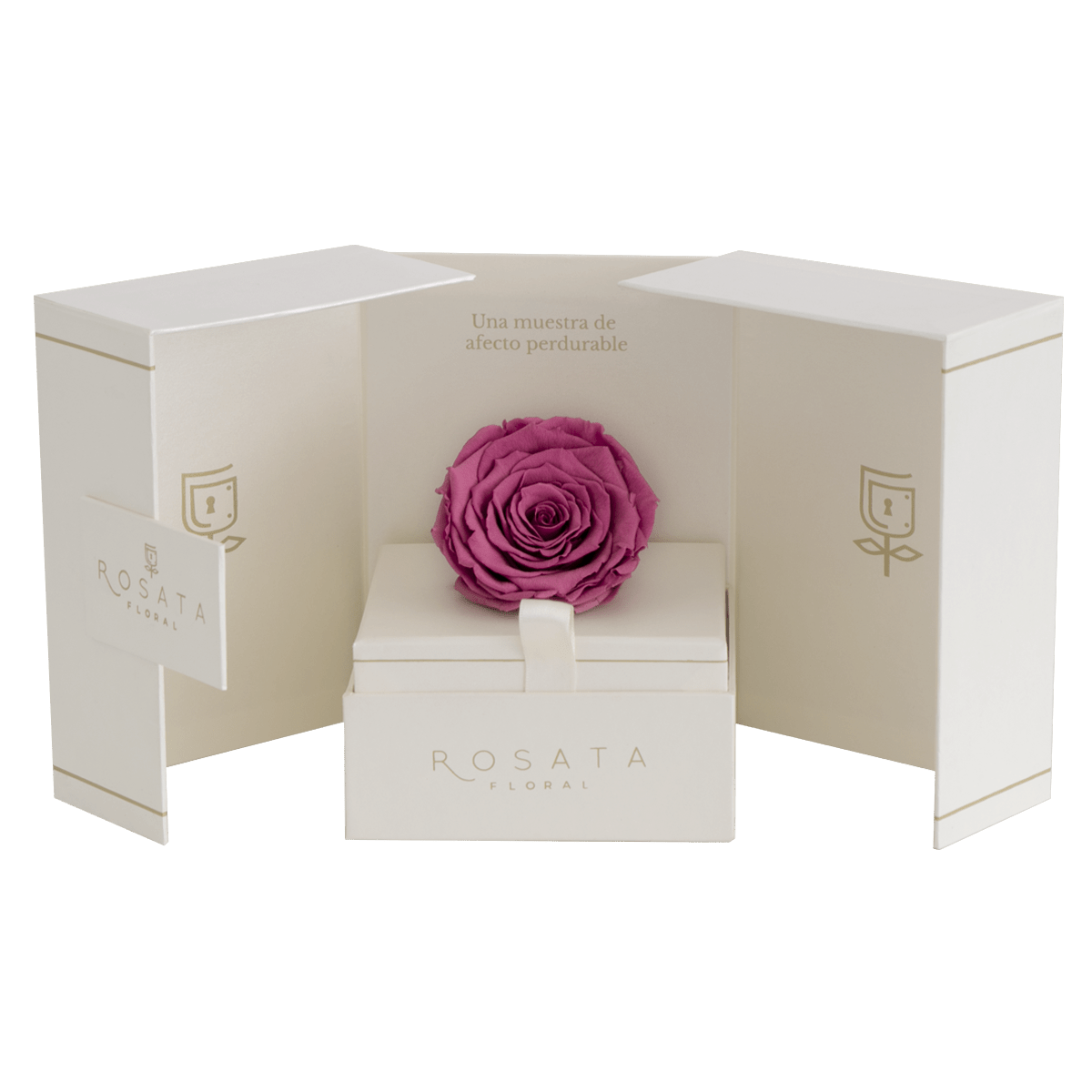 Eternal Champagne - Envío Nacional - arreglo de rosas - Rosata Floral