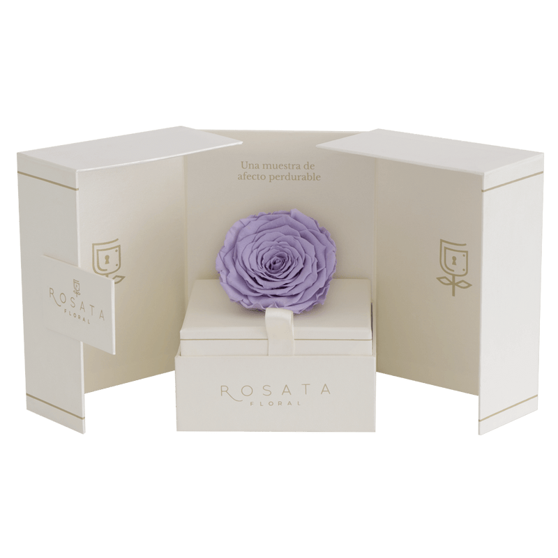 Eternal Champagne - Envío Nacional - arreglo de rosas - Rosata Floral