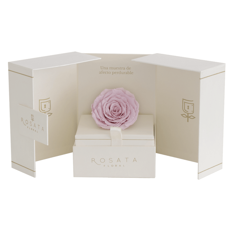Eternal Champagne - Envío Nacional - arreglo de rosas - Rosata Floral