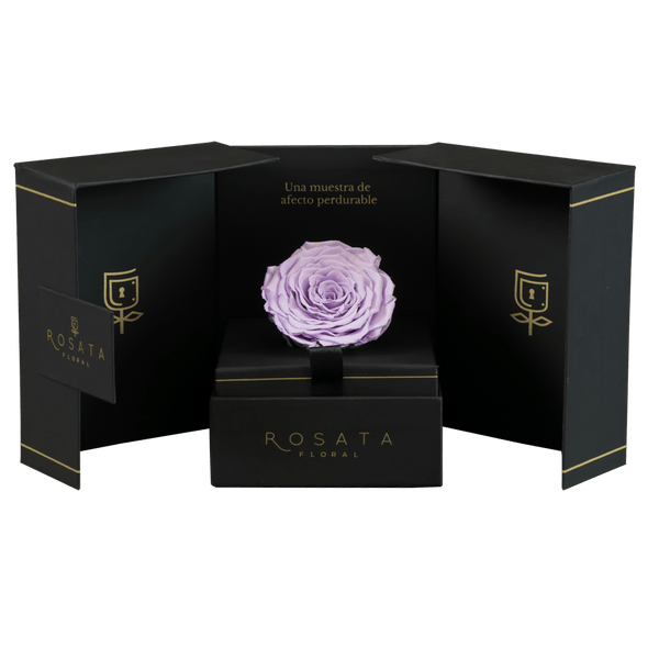 Eternal Lila - Envío Nacional - arreglo de rosas - Rosata Floral