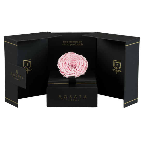 Eternal Rosa - Envío Nacional - arreglo de rosas - Rosata Floral