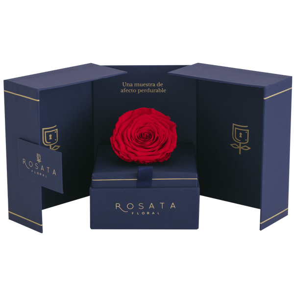 Eternal Saphiro - Nacional - arreglo de rosas - Rosata Floral