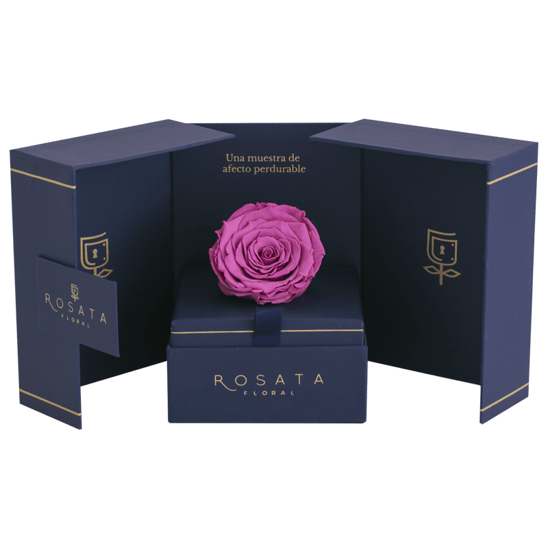 Eternal Saphiro Fucsia - Envío Nacional - arreglo de rosas - Rosata Floral