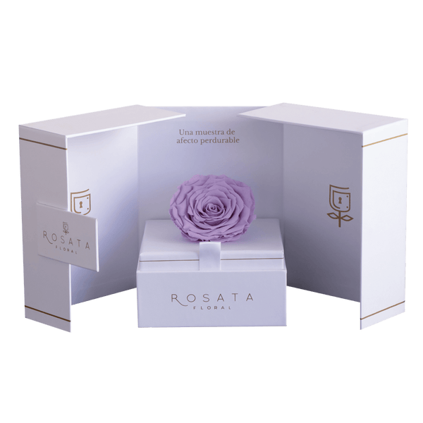 Eternal White Lila - Envío Nacional - arreglo de rosas - Rosata Floral