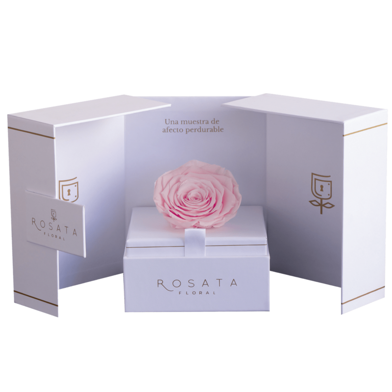 Eternal White Rosa - Envío Nacional - arreglo de rosas - Rosata Floral