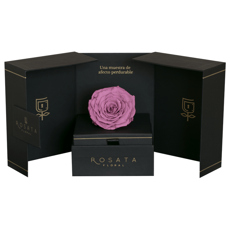 Eternal - Envío Nacional - arreglo de rosas - Rosata Floral
