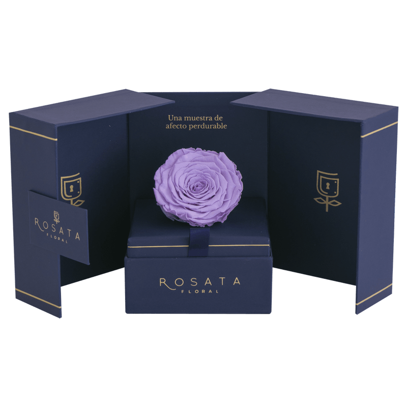 Eternal Saphiro Lila - Envío Nacional - arreglo de rosas - Rosata Floral