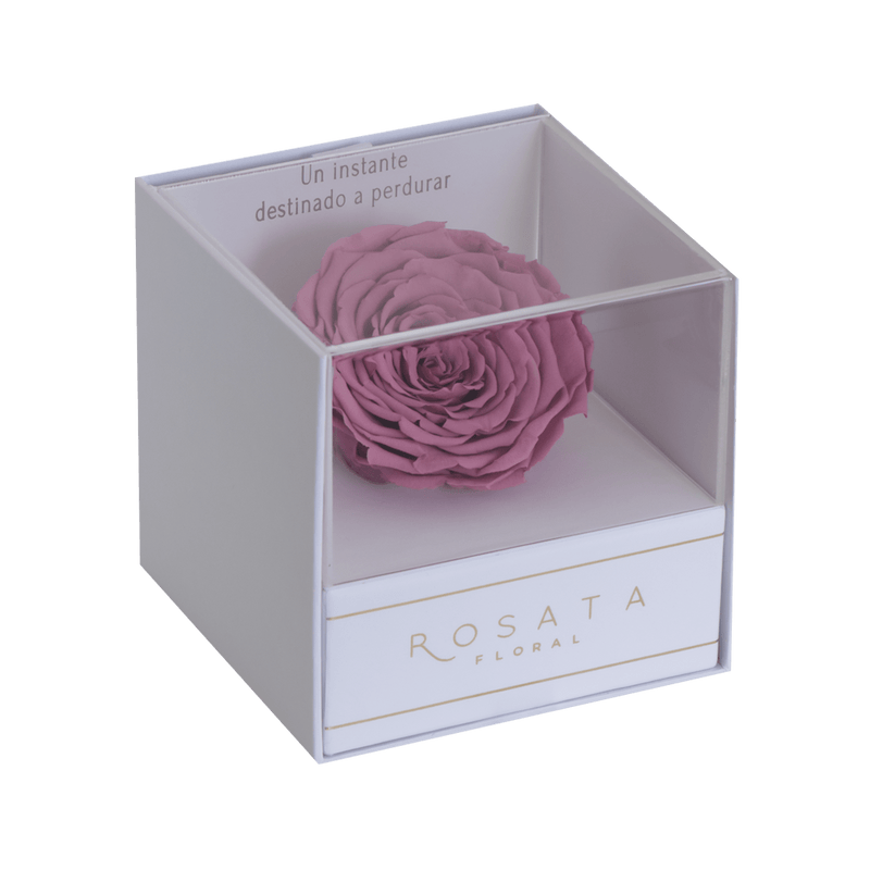 Everty White - arreglo de rosas - Rosata Floral