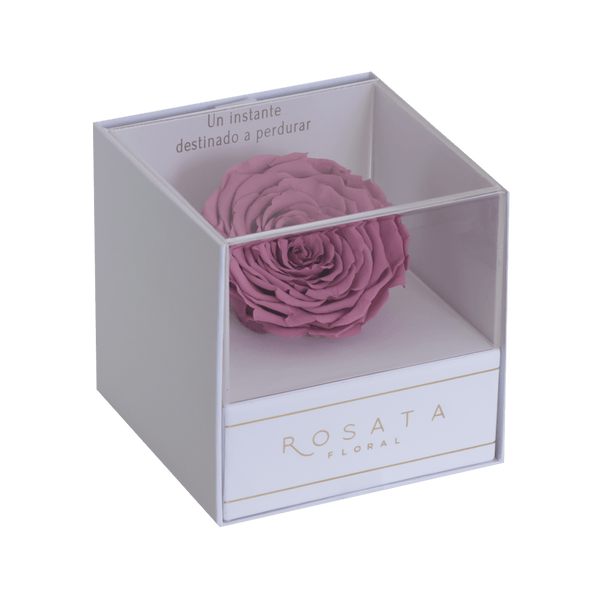 Everty White Fucsia - arreglo de rosas - Rosata Floral