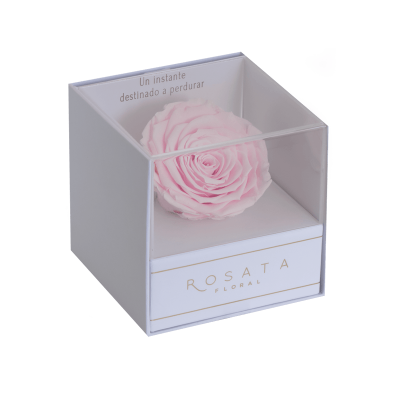 Everty White - arreglo de rosas - Rosata Floral