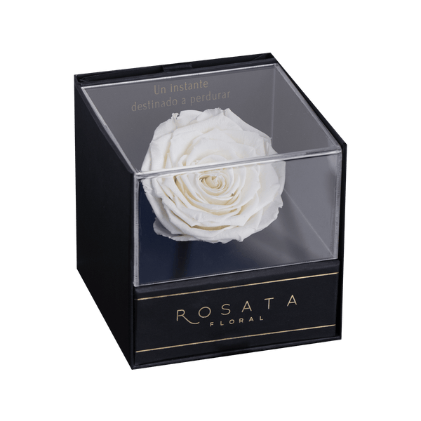 Everty Blanca - Nacional - arreglo de rosas - Rosata Floral