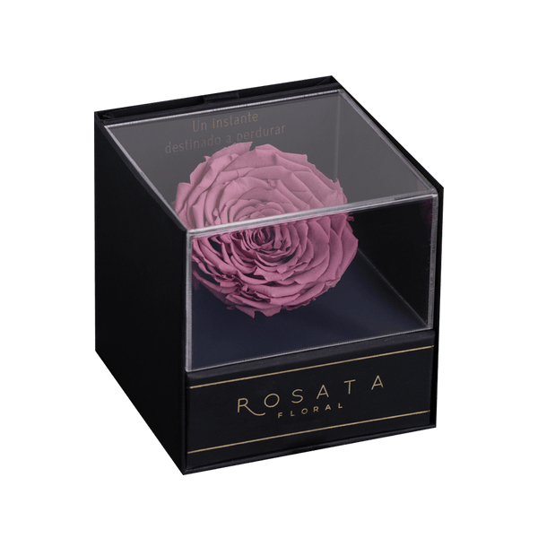 Everty Fucsia - Nacional - arreglo de rosas - Rosata Floral