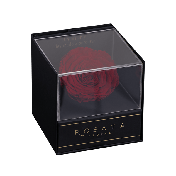 Everty Garnet - Nacional - arreglo de rosas - Rosata Floral