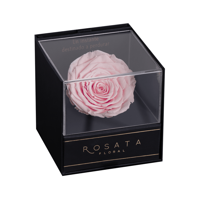 Everty Rosa - Nacional - arreglo de rosas - Rosata Floral