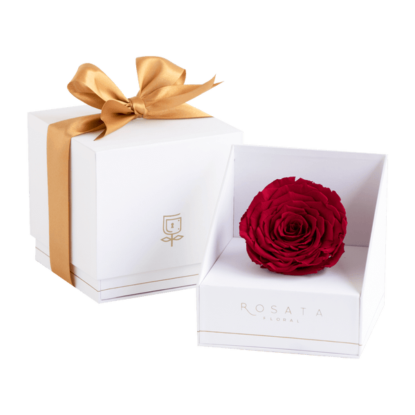 Rosely White - Roja - arreglo de rosas - Rosata Floral